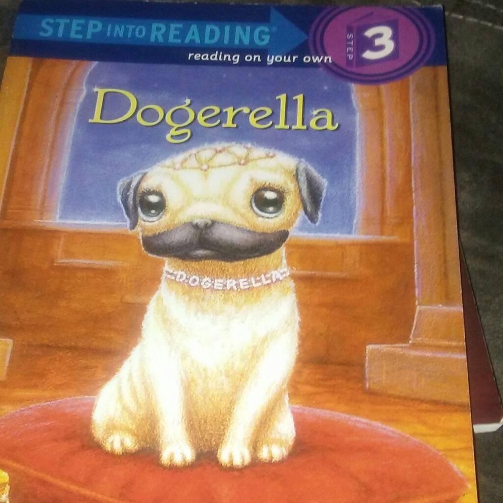 A kid's book
